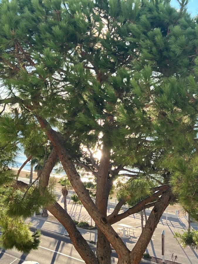 Vacances Paradisiaques, Plage Cannes Boccacabana, Studio Екстериор снимка